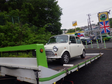 KIKU3299