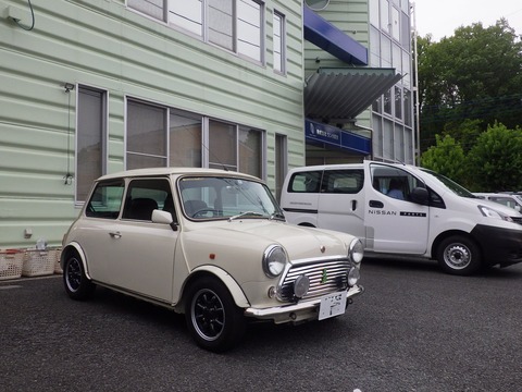 KIKU2809