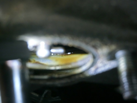 CIMG6597
