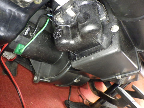 KAJI6538