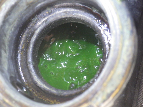 KIKU7928