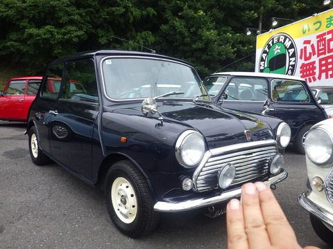 KIKU7944