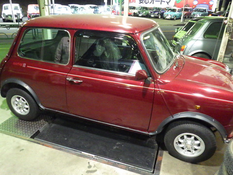 KIKU3576