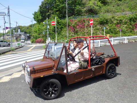 KIKU3116