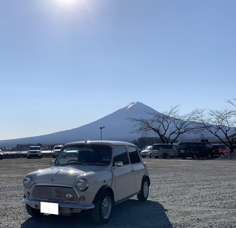 ソルティシャワー様