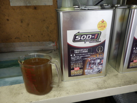 KAJI3384