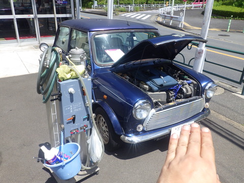 KIKU9343