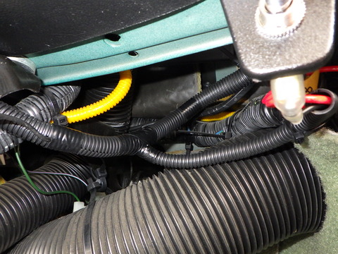 YAMA2389