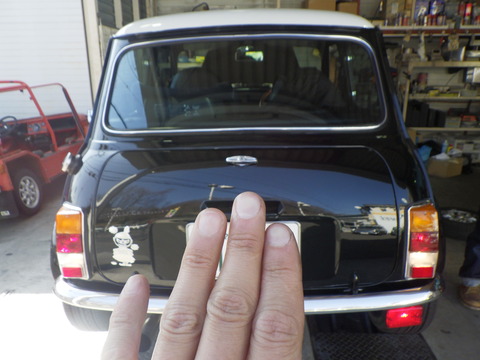 KAJI4781