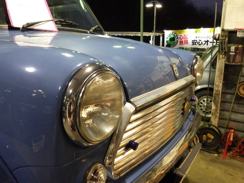 TERU1954
