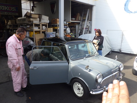 KIKU6488