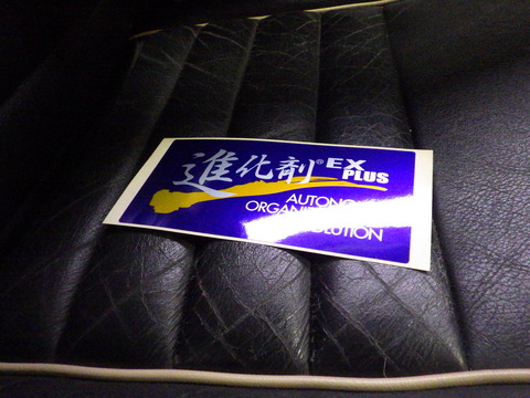 ISK_5219