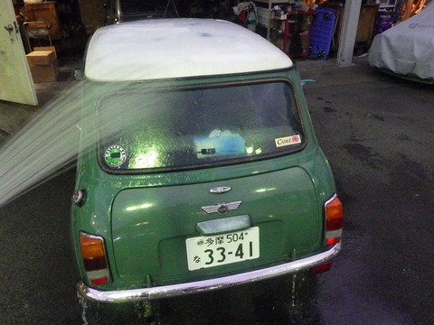KIKU8504