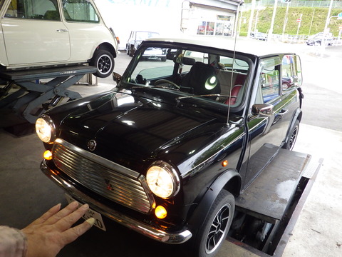 ISK_6529