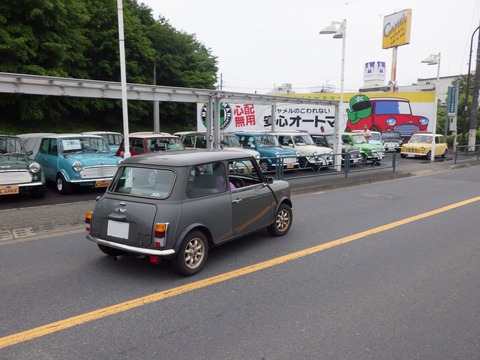 AZM_8487