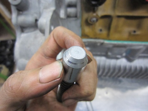 19495729_671062163098957_813499621_o