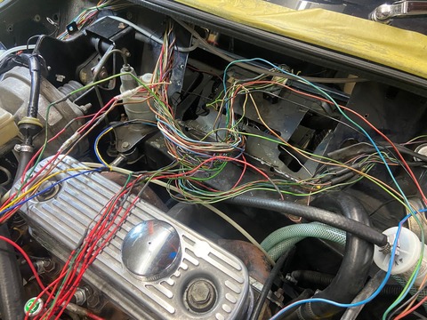 312629364_3263119973930139_1905761175261928306_n