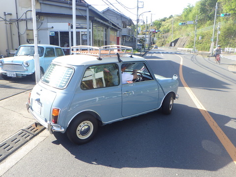 SQOR8061