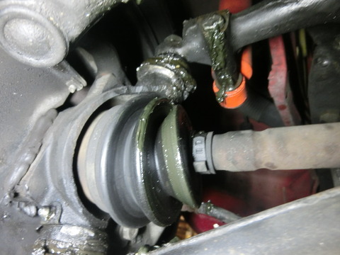 CIMG4145