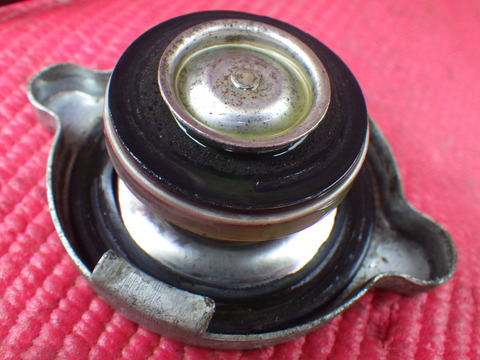 KIKU6971