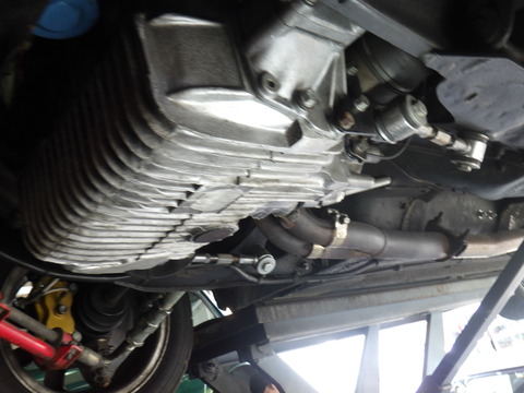 ISK_5528