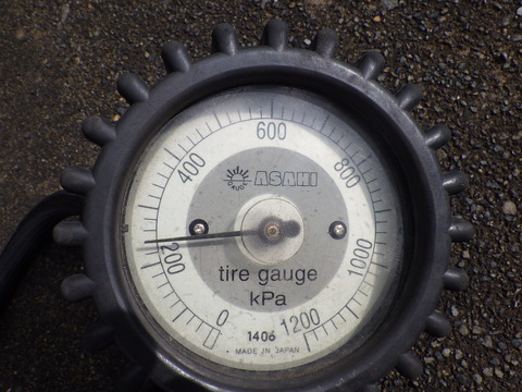 KIKU4304
