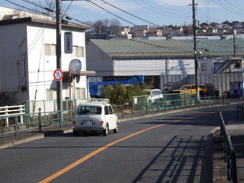 KIKU7189