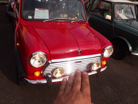KIKU8228