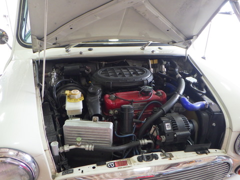 SQOR2817