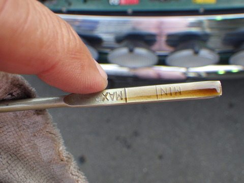 SQOR8875