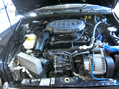 CIMG2913