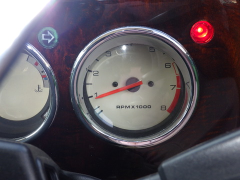 KIKU6484