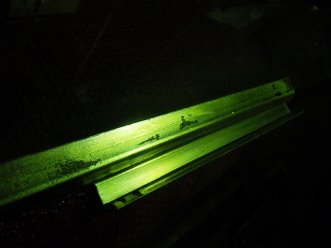 KIKU7609