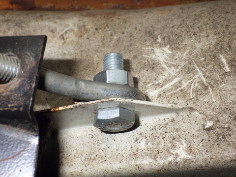 KIKU4530
