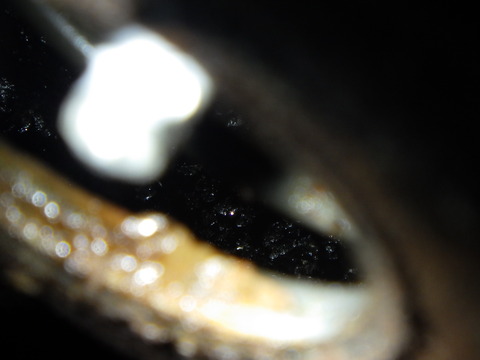 ISK_0281