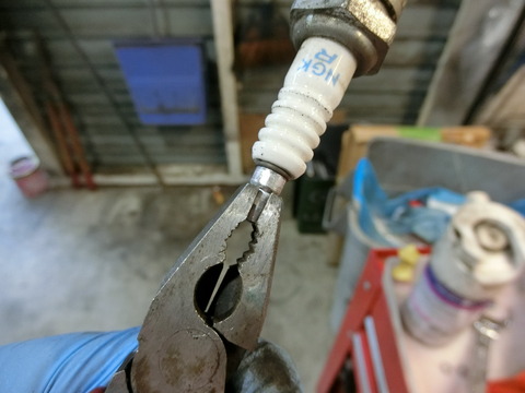 CIMG3520