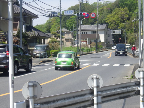 KIKU2380