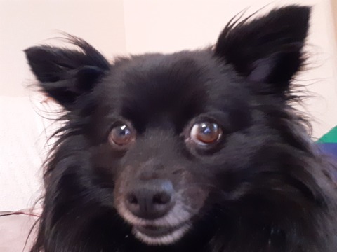 20191008_063815
