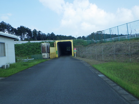 SQOR7365
