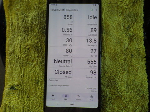 KIKU9969