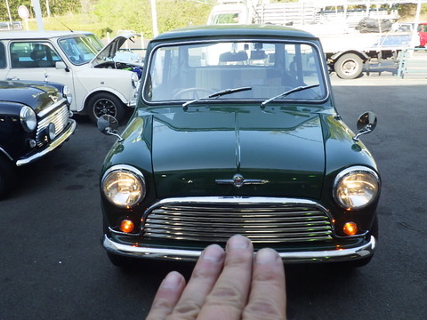 KIKU1808