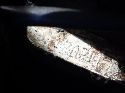 TERU9149
