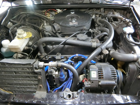 CIMG5244