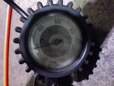 KIKU3394