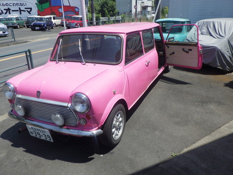 KAJI4302
