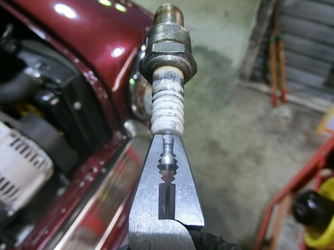 CIMG7353