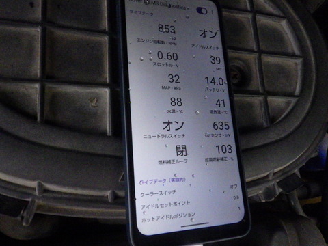 KIKU7903