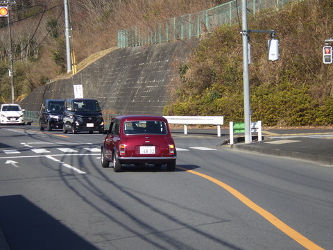 KIKU3756