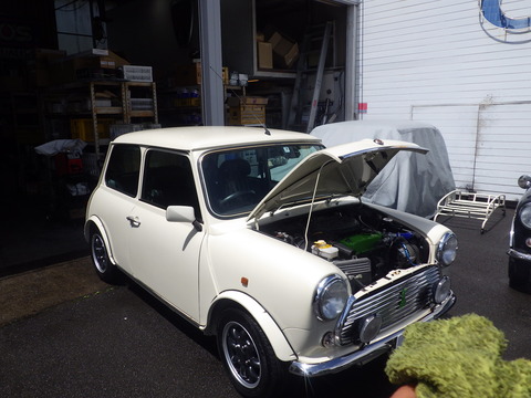 KIKU2945