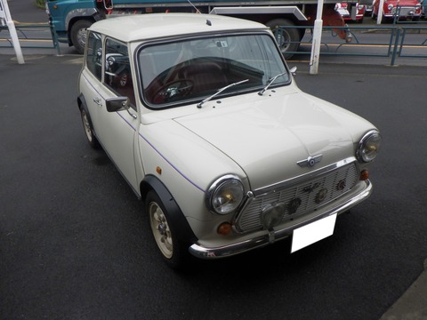 KAJI4352
